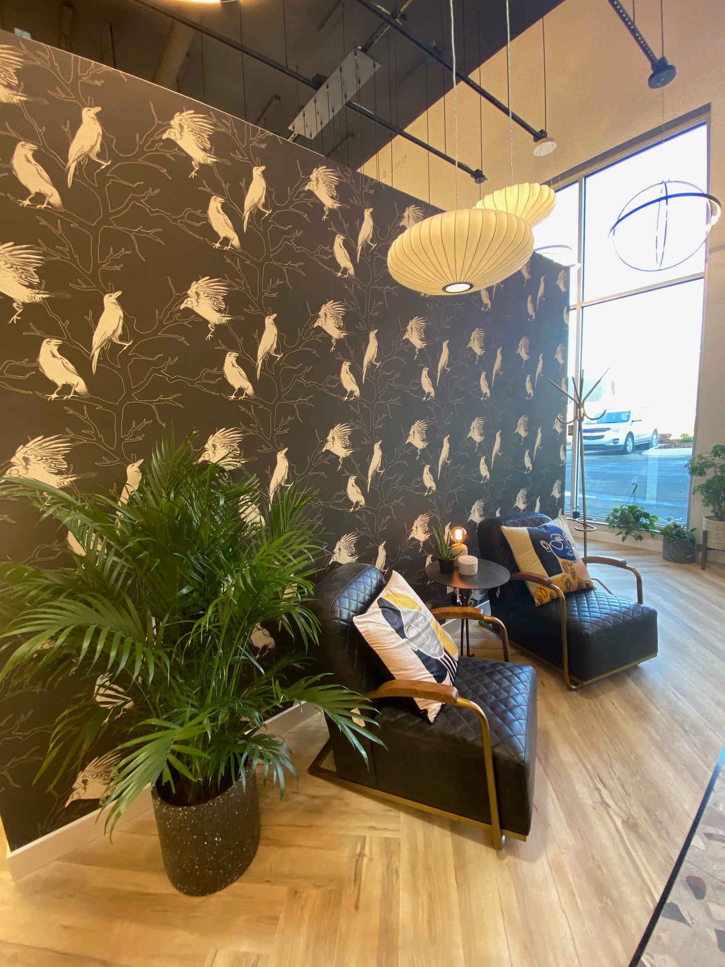 White crows and trees on black background easy to install and remove peel and stick custom wallpaper available in different lengths/sizes locally created and printed in Canada. Removable, washable, durable, commercial grade, customizable and water proof.