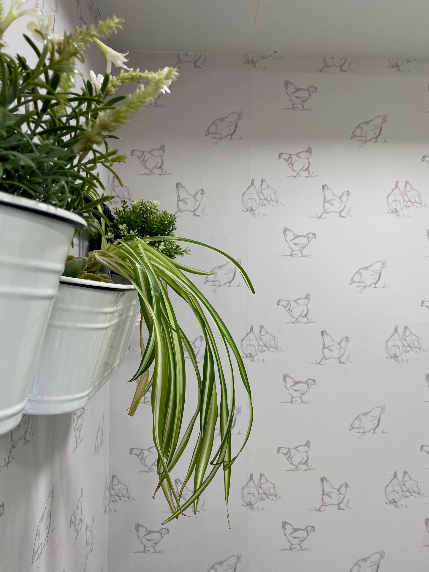 Light grey/gray chicken pattern on cream background easy to install and remove peel and stick custom wallpaper available in different lengths/sizes locally created and printed in Canada Artichoke wallpaper. Washable, durable, commercial grade, removable and waterproof.