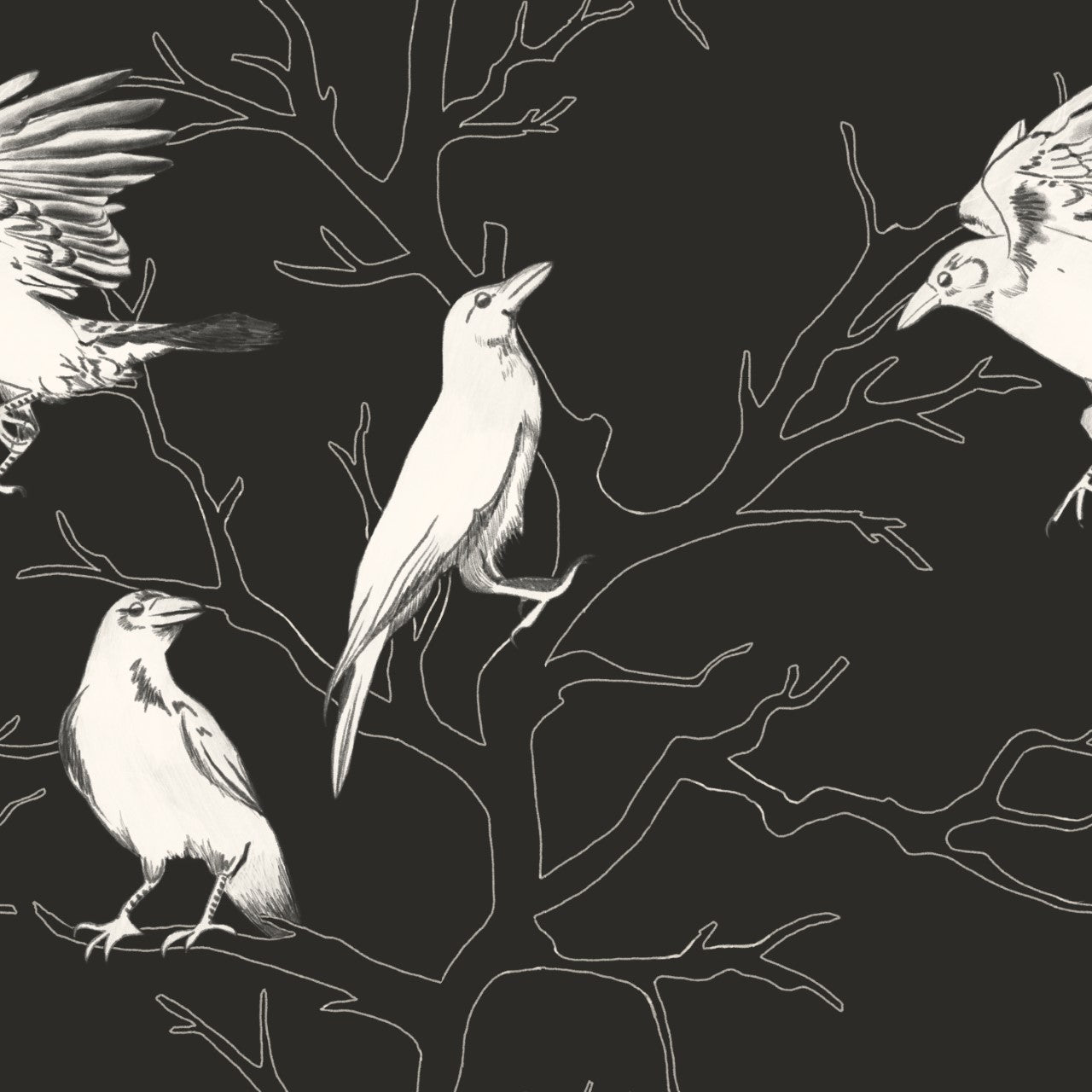 Crows Custom Wallpaper - Waterproof, Removable, Washable, Durable ...