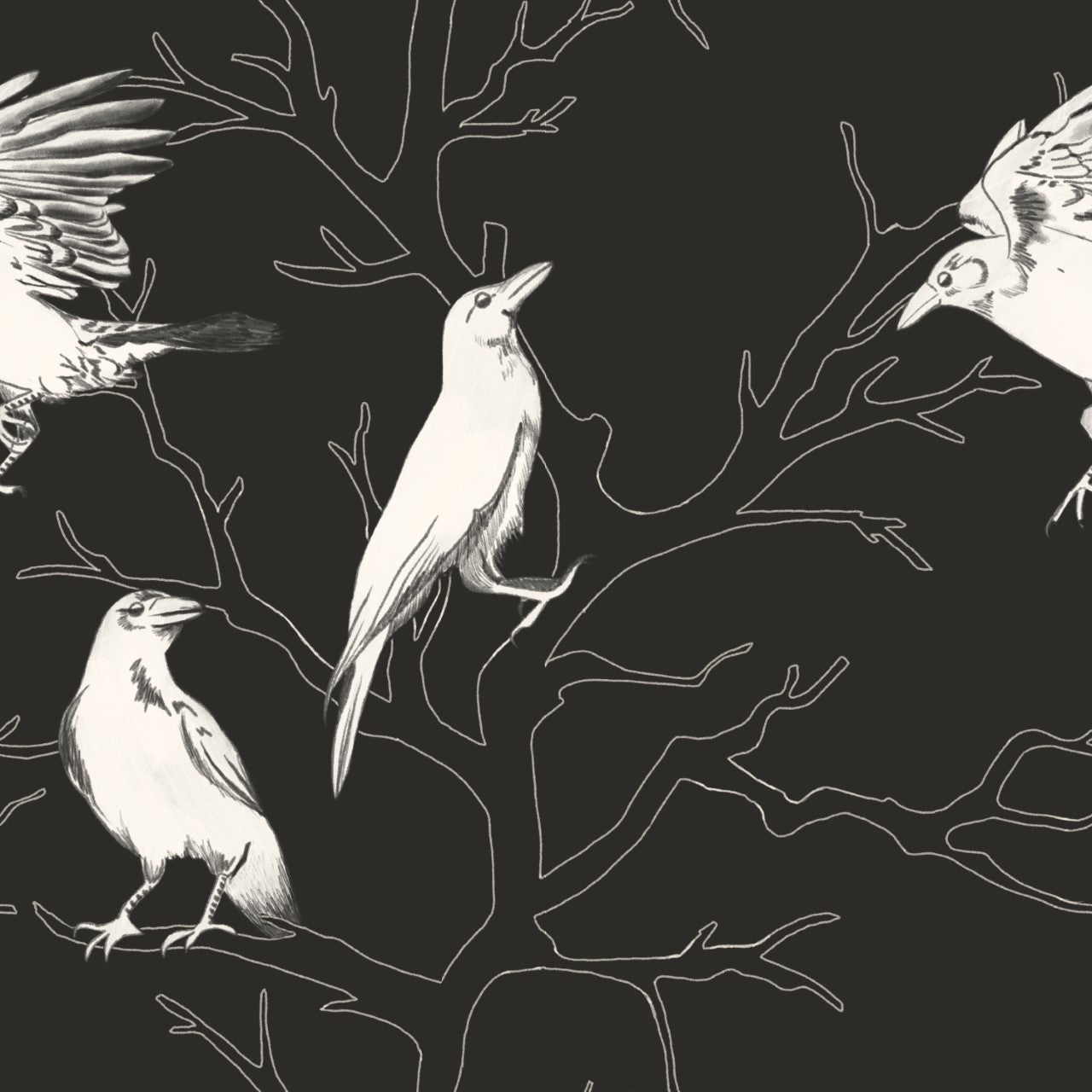 White crows and trees on black background easy to install and remove peel and stick custom wallpaper available in different lengths/sizes locally created and printed in Canada. Removable, washable, durable, commercial grade, customizable and water proof.